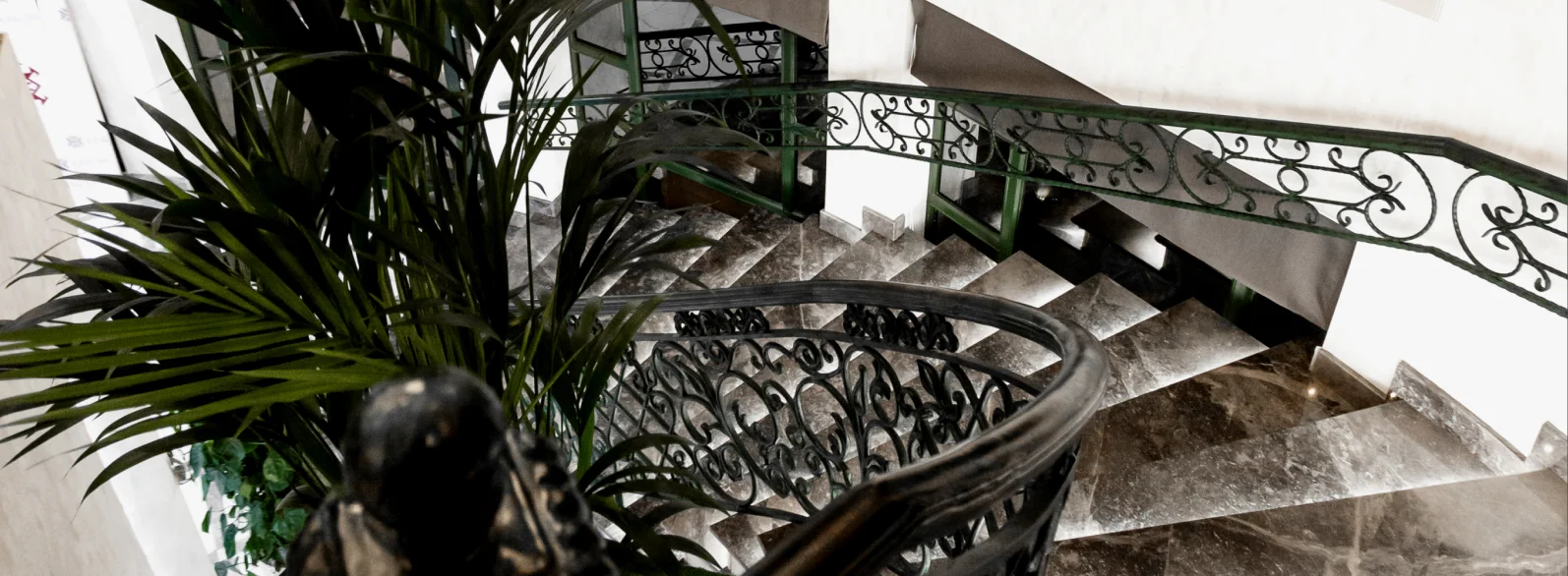 Immobilier & développement foncier